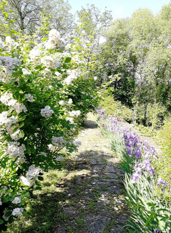 Il parco del Dandelion Suites &amp; Park