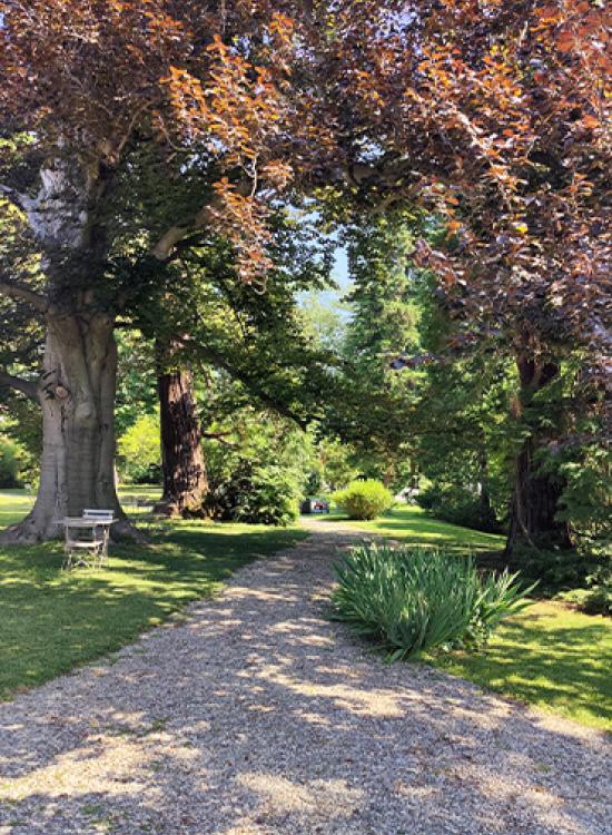 Il parco del Dandelion Suites &amp; Park