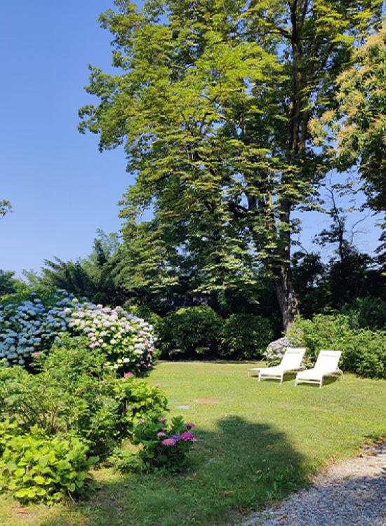 Il parco del Dandelion Suites &amp; Park