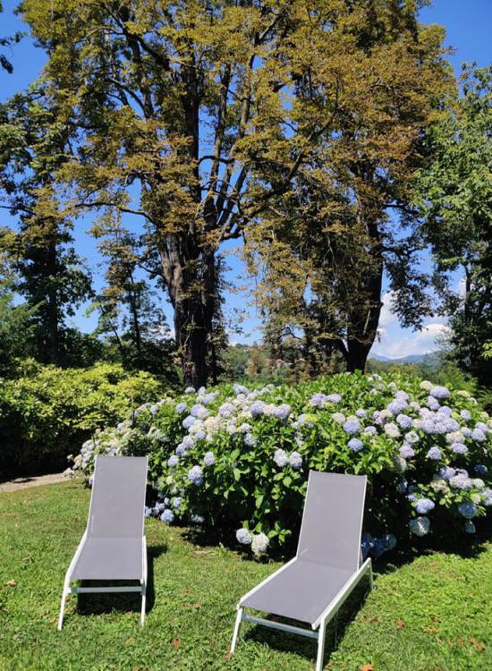 Il parco del Dandelion Suites &amp; Park