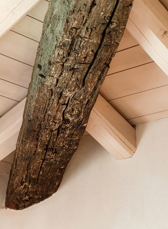 Appartamenti La Corte Dandelion con cucina